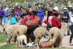 PICTURES/Cusco Ruins - Sacsayhuaman/t_Local Color1.JPG